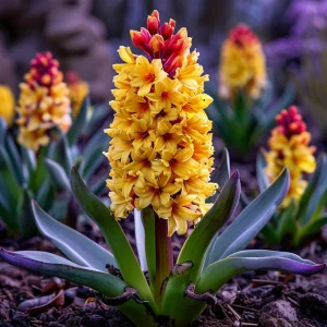 Гиацинт Миднайт Мистери купить по цене от 2099р. в интернет-магазине «Посадика» с доставкой почтой в в Уваровое и по всей России – [изображение №1].